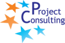 Project Consulting